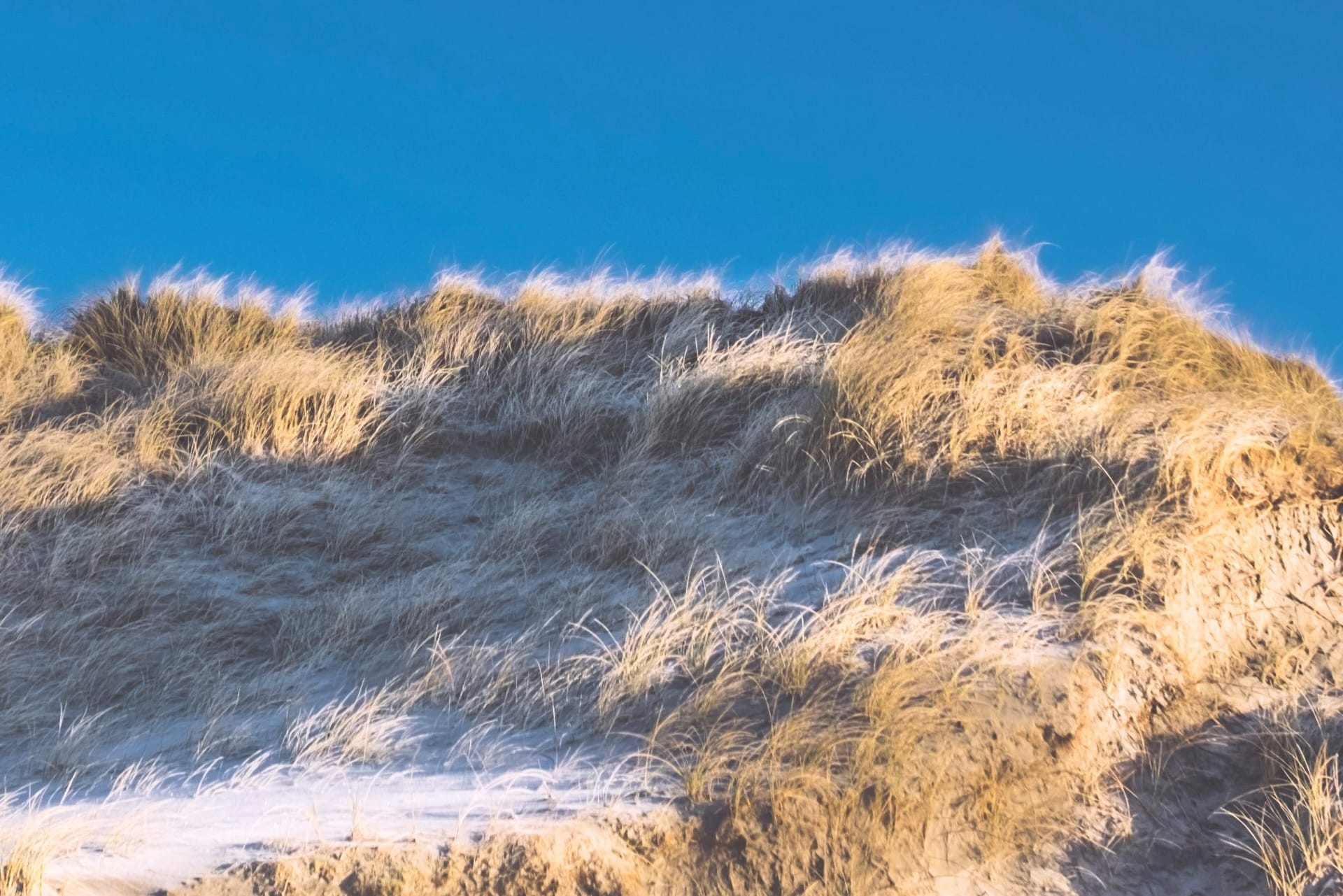Düne an der Ostsee in Rerik im Winter